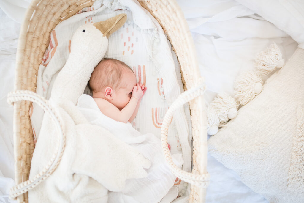 Sabrina Tilly Fotografie